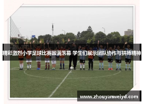 精彩激烈小学足球比赛圆满落幕 学生们展示团队协作与拼搏精神
